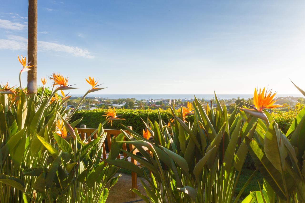 Grand Pacific Palisades Resort Carlsbad Exterior foto